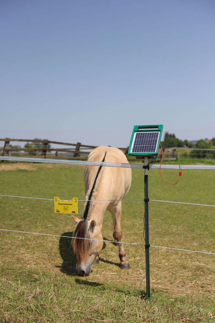 AKO Weidezaunseil PlatinumLine